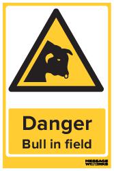 BULL IN FIELD (08373)