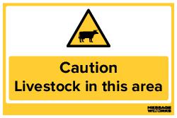 LIVESTOCK IN THIS AREA (78920)