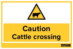 CATTLE CROSSING (63082)