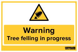 TREE FELLING IN PROGRESS (65107)