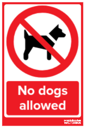 NO DOGS ALLOWED (08073)