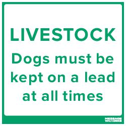 KEEP DOGS ON LEAD (97813)