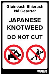 JAPANESE KNOTWEED (26542)