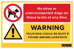 DOGS COULD BE SHOT (87869)