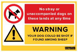DOGS COULD BE SHOT (95788)