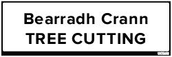 SUPPLEMENTARY PLATE (29432)