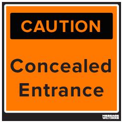 CONCEALED ENTRANCE (78230)