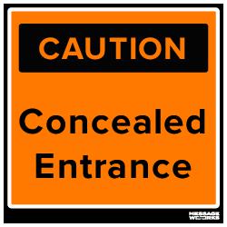 CONCEALED ENTRANCE (78230)