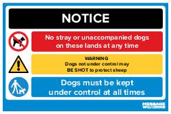 STRAY DOGS MAY BE SHOT (11626)