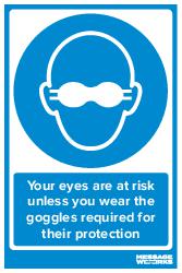 EYE PROTECTION (83667)
