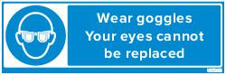 WEAR GOGGLES (83662)