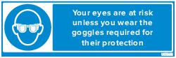 EYE PROTECTION (83666)