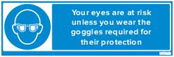 EYE PROTECTION (83666)